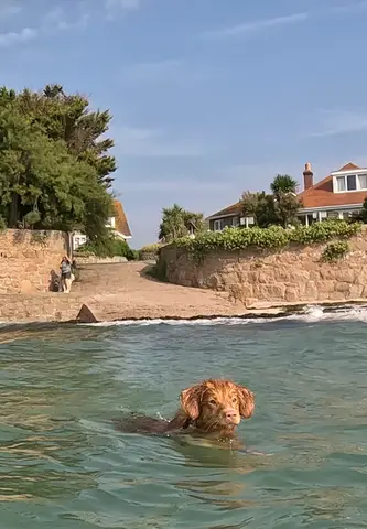 La Rocque